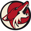 Phoenix Coyotes Gallery